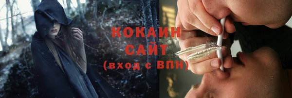 дживик Белокуриха