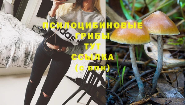 дживик Белокуриха