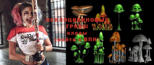 дживик Белокуриха