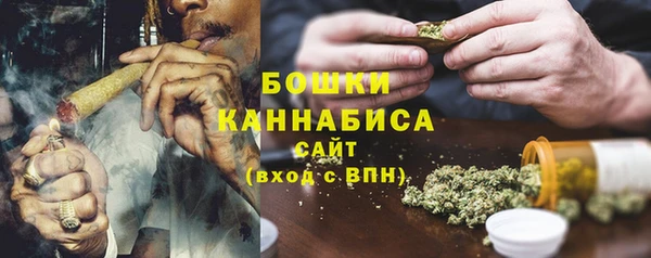 дживик Белокуриха